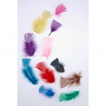 Tropical Feather Packet of 20