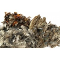 Natural Value Pack - Feathers