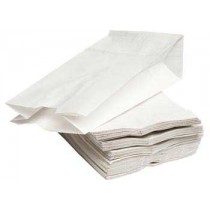 Paper Bag (PK100)