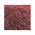 Glitter Fantasia - Red (1kg)
